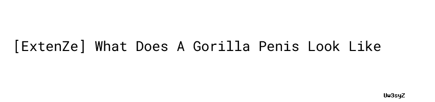gorilla penis suze